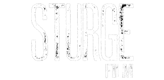 Ben Sturgulewski - Sturge Film